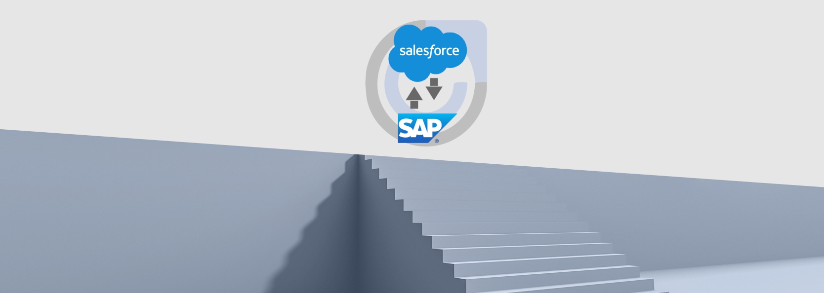 Step-by-Step Process of SAP