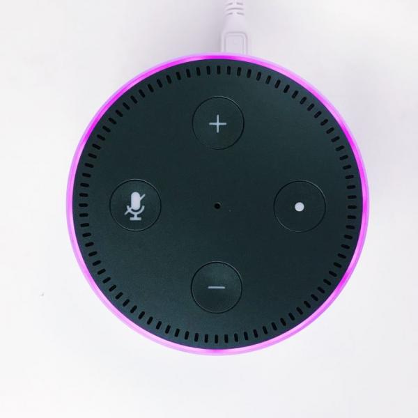 alexa alexa